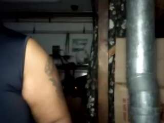 virgovixengal