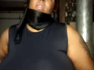 virgovixengal