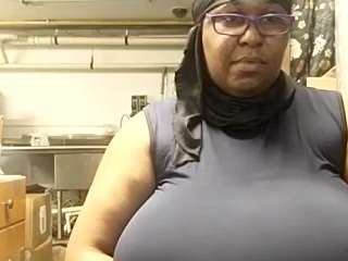 virgovixengal