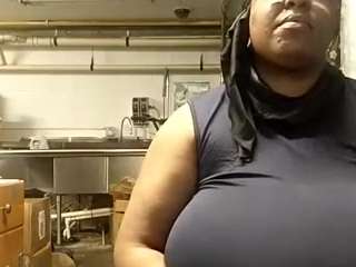 virgovixengal