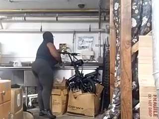 virgovixengal