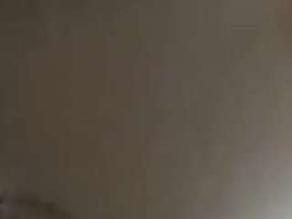 virgovixengal