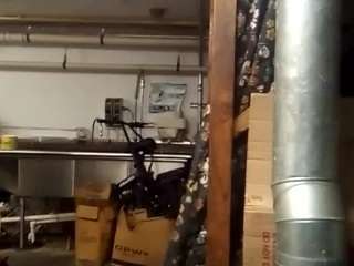virgovixengal