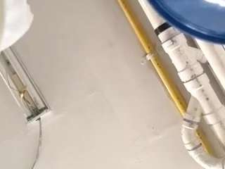 virgovixengal