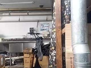 virgovixengal