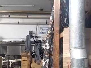 virgovixengal