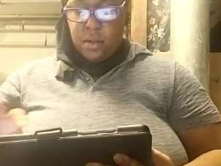 virgovixengal