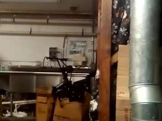 VIRGO live cam