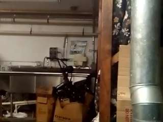 virgovixengal