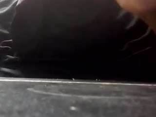 virgovixengal