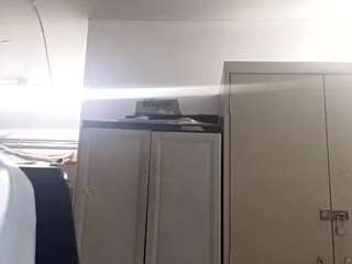 virgovixengal