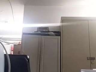 virgovixengal