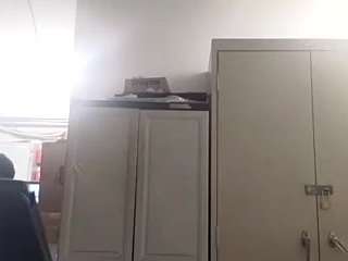 virgovixengal