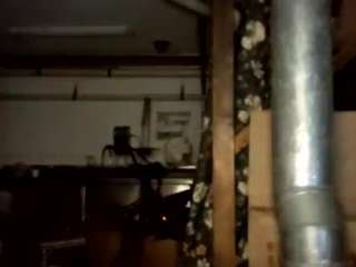 virgovixengal
