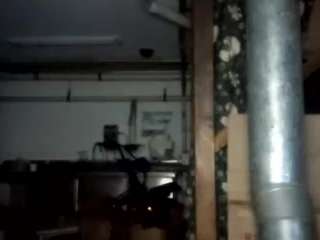 virgovixengal