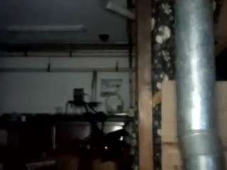 virgovixengal