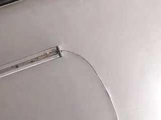 virgovixengal
