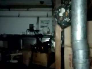 virgovixengal