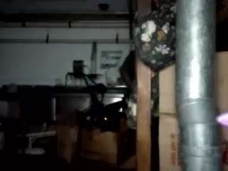 virgovixengal