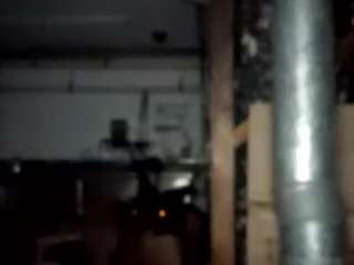 virgovixengal