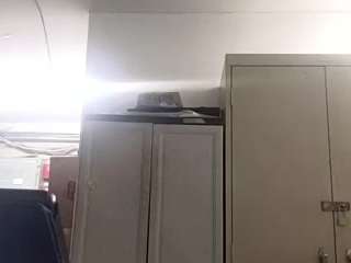 virgovixengal