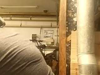 virgovixengal