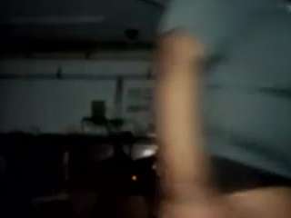 virgovixengal