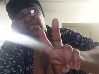 virgovixengal
