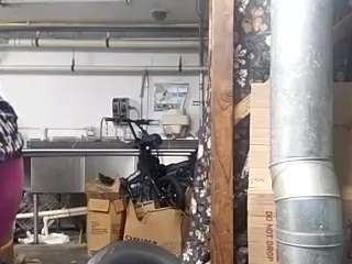 virgovixengal