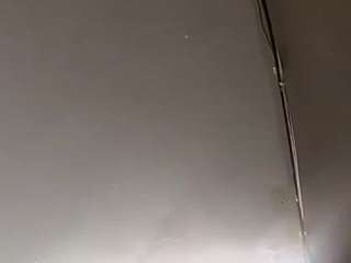 virgovixengal