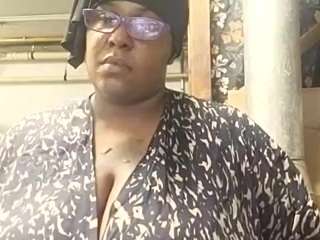virgovixengal