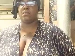 virgovixengal