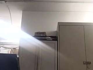 virgovixengal
