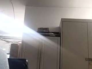 virgovixengal