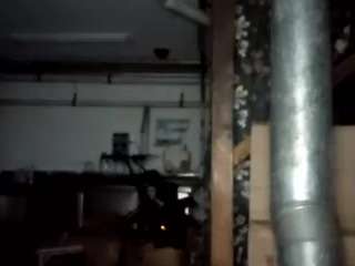 virgovixengal