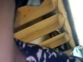 virgovixengal