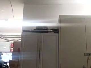 virgovixengal