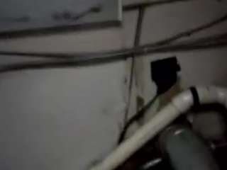 virgovixengal