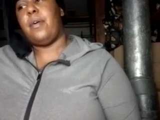 virgovixengal