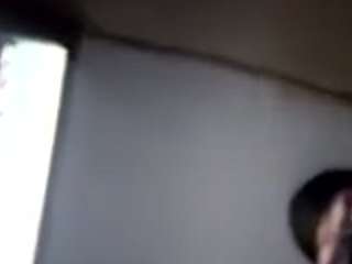 virgovixengal