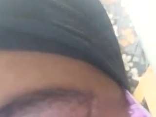 virgovixengal