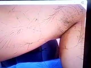 virgovixengal