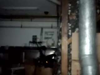 virgovixengal