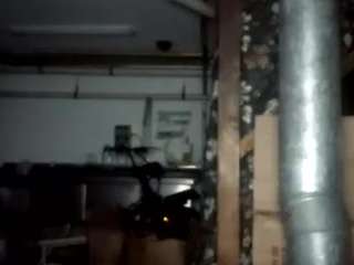 virgovixengal