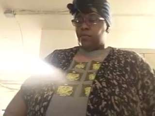 virgovixengal