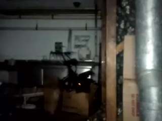 virgovixengal