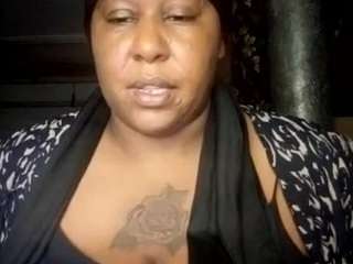 virgovixengal