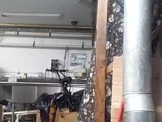 virgovixengal