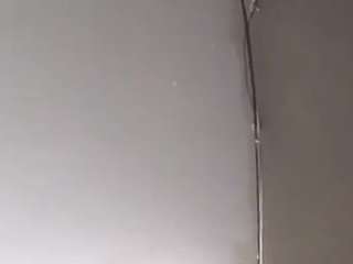 virgovixengal