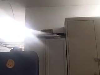 virgovixengal